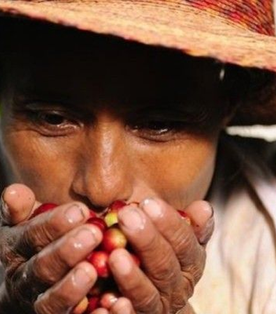 Building sustainable partnershipswith Indonesian farmers